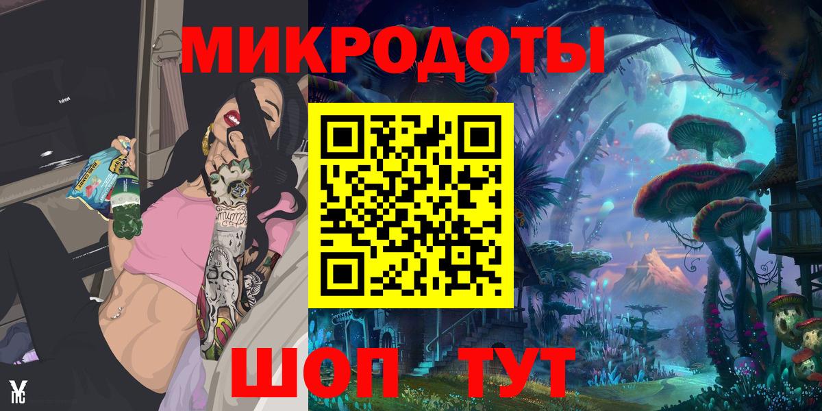 Псилоцибиновые грибы Psilocybe Камышлов