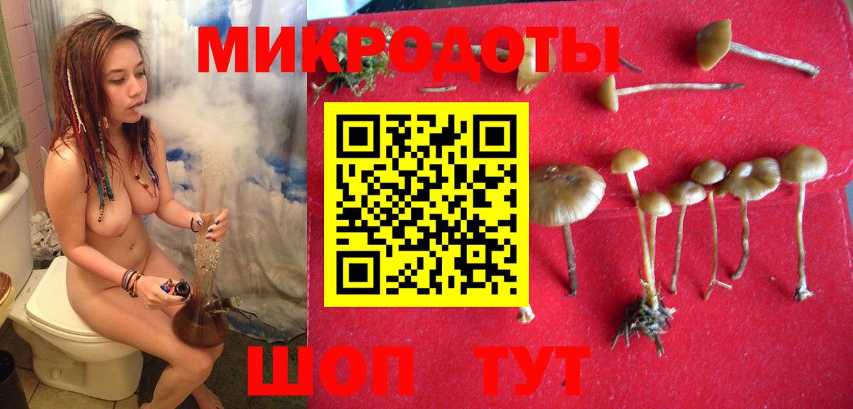 Камышлов  Галлюциногенные грибы Cubensis  Вход с VPN 